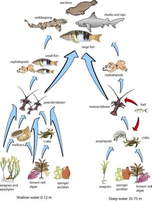  Xenotrema: 驚異の寄生虫！水中の複雑な食物連鎖を紐解く鍵